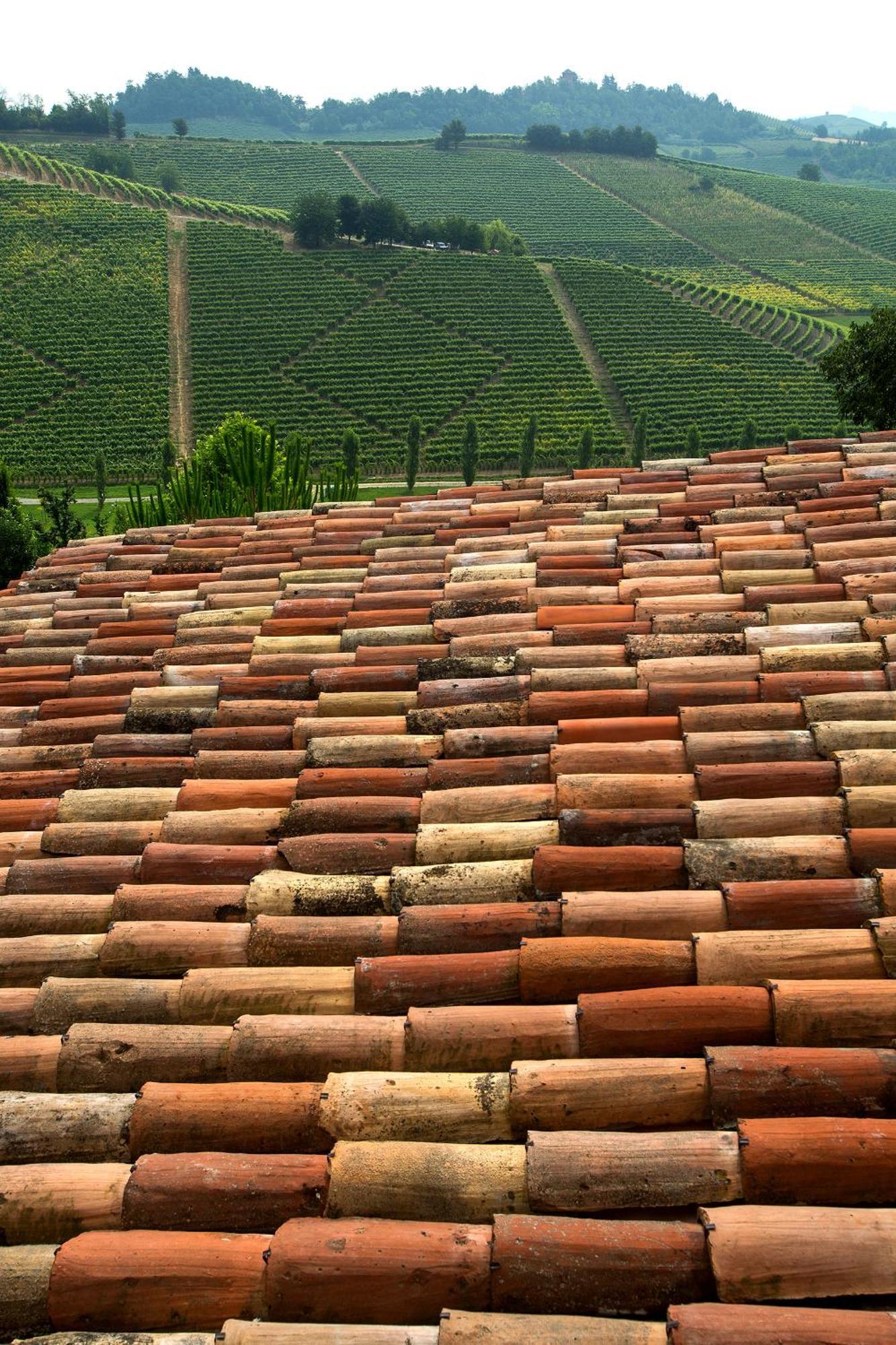 Relais Di Tenuta Santa Caterina B&B Grazzano Badoglio 客房 照片
