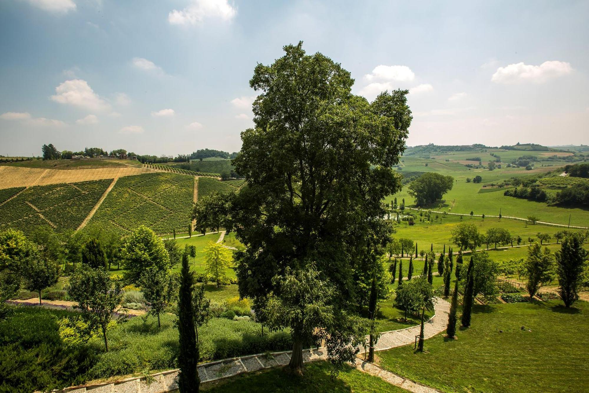 Relais Di Tenuta Santa Caterina B&B Grazzano Badoglio 客房 照片