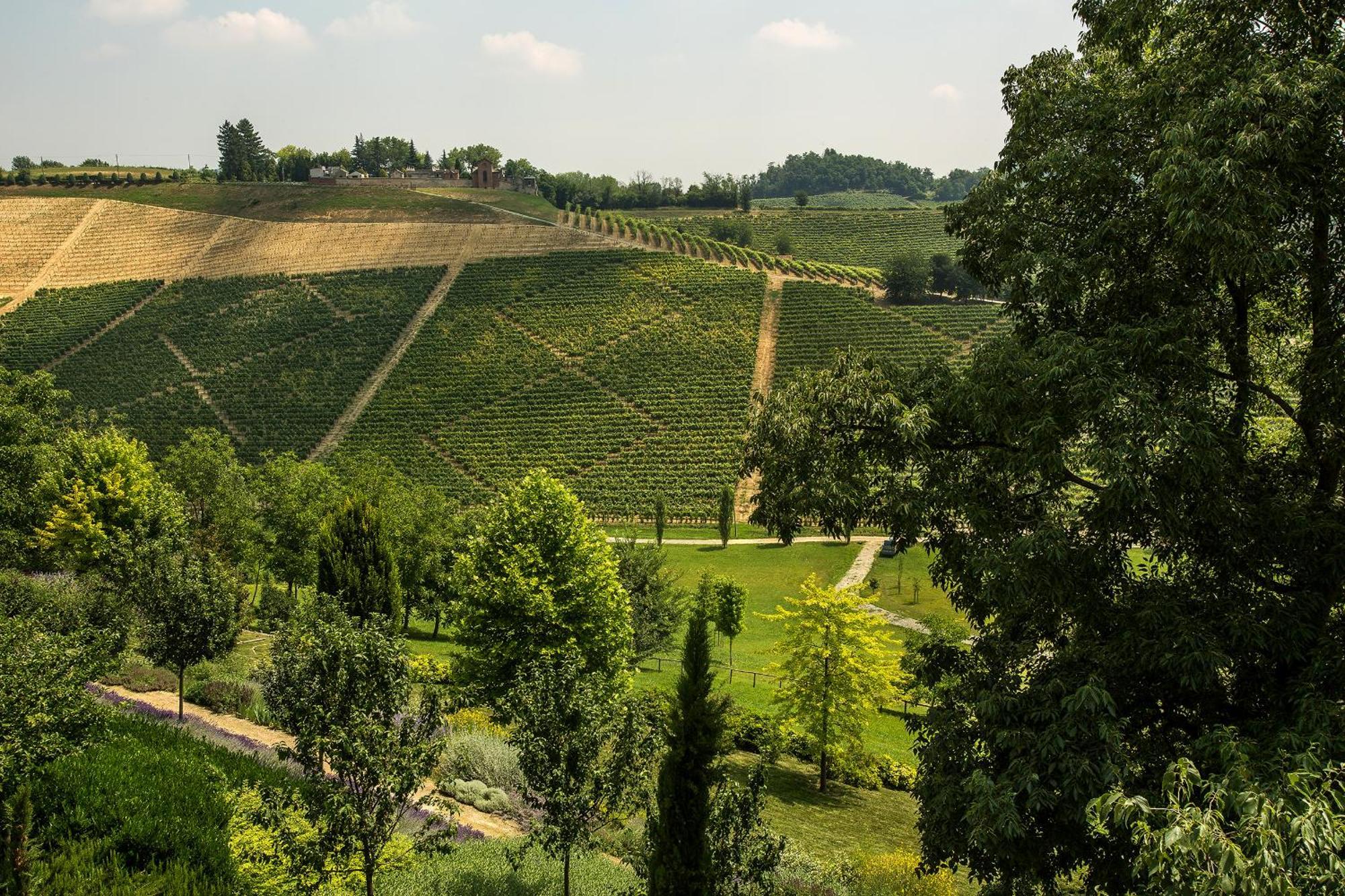 Relais Di Tenuta Santa Caterina B&B Grazzano Badoglio 客房 照片